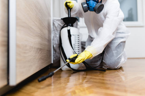 Best Best Pest Control Companies  in Arthurtown, SC