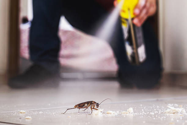 Best Exterminator Services  in Arthurtown, SC